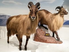 -陕西自然博物馆