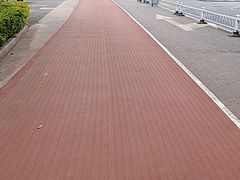 -福建省奥林匹克体育中心体育馆