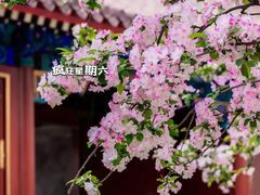 -恭王府博物馆