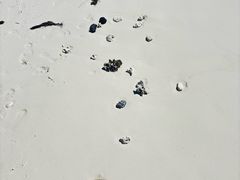 -环滩岛