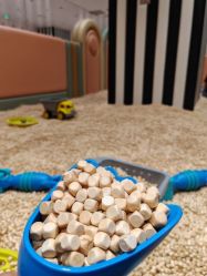 -奈尔宝家庭中心·亲子餐厅(北京东坝万达店)