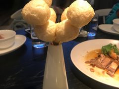 -MR鹅外
