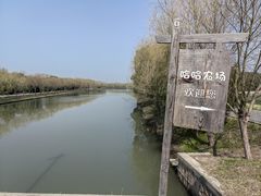 -广富林郊野公园