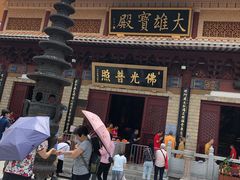 -深圳仙湖植物园-停车场