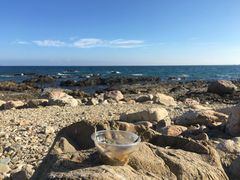 -西涌国际滨海旅游区