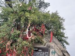 -神农山景区