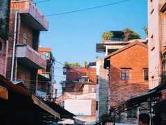 -莞翟蔴茶王(东莞记忆店)