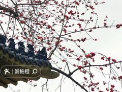 -广州中山纪念堂