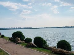-丁香湖公园