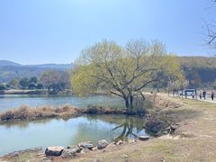 -南北湖风景区