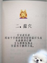 -Bollins波林丝•专研护发中心