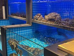 -大鹏饭店·金陵家宴(奥体中心店)