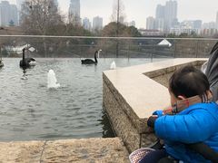 -南京圣和府邸豪华精选酒店