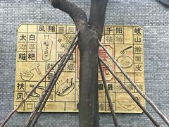 -陈仓老街美食天地
