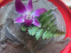 -草原塞蛮羊火锅城(港湾店)