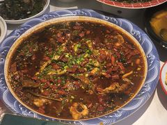-新概念来凤鱼(璧山店)