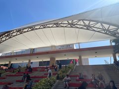 -美心皇宫(沙田大会堂店)