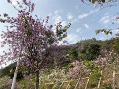 -小南山公园