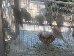 -宠爱我(南山店)