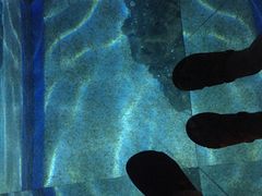 -暹罗海洋世界