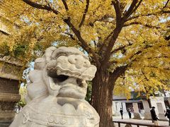 -北京石刻艺术博物馆(五塔寺)