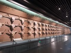 -大庆市博物馆
