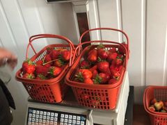 -胜丰草莓采摘园