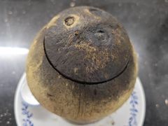 -達揚原味燉品(文明路店)