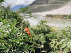 -佛掌沙丘