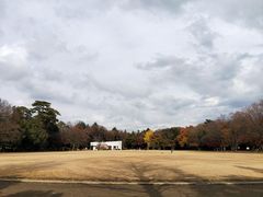 -三鹰之森吉卜力美术馆