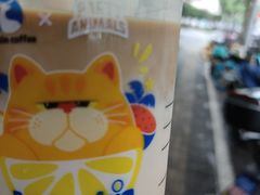 -瑞幸咖啡(巴黎春天陕西路店)