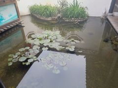 -膳和缘炒鸡店(南门路店)