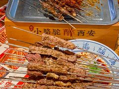 -福苗小骆驼烧烤(莲湖路店)