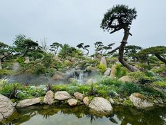 -罗红摄影艺术馆