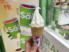 -Salud撒露欧洲冻酸奶(蓝色港湾店)