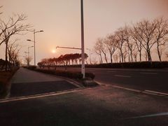 -春花秋色城市公园