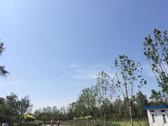 -武清南湖绿博园