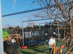 -小鱼草莓采摘园农家乐·小鱼餐厅