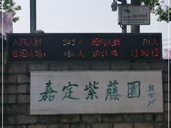 -嘉定紫藤园