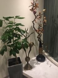 -康颜SPA自然疗愈皮肤管理中心