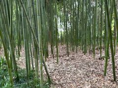 -苏州河梦清园环保主题公园