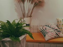 -白日梦奶茶