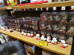 -猫咪博物馆(顶澳仔猫街店)