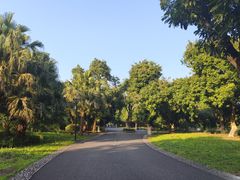 -张坝桂圆林公园