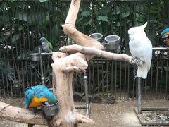 -南宫五洲植物乐园