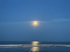 -日照海滨国家森林公园