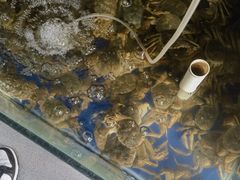 -阳澄湖大闸蟹·琼灵阁牌品牌连锁(吴中总店)