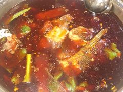 花鲢-肖肖酸萝卜鱼火锅(总店)