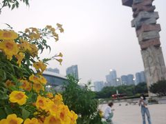 -深圳湾公园(南山区)