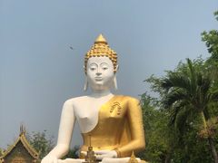 -来康佛寺